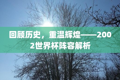 回顾历史，重温辉煌——2002世界杯阵容解析