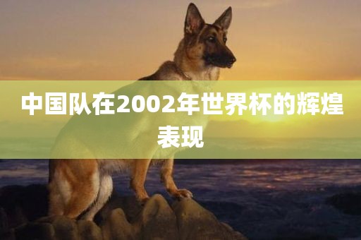 中国队在2002年世界杯的辉煌表现