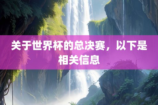 关于世界杯的总决赛，以下是相关信息