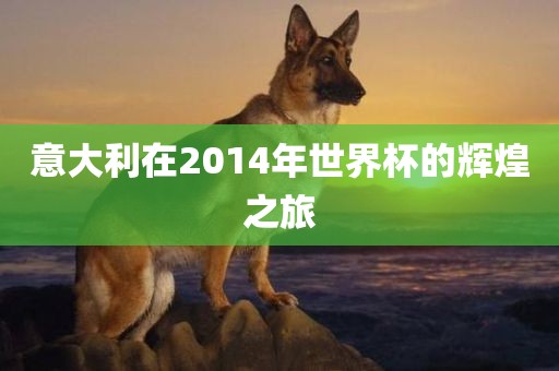 意大利在2014年世界杯的辉煌之旅