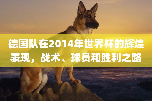 德国队在2014年世界杯的辉煌表现，战术、球员和胜利之路