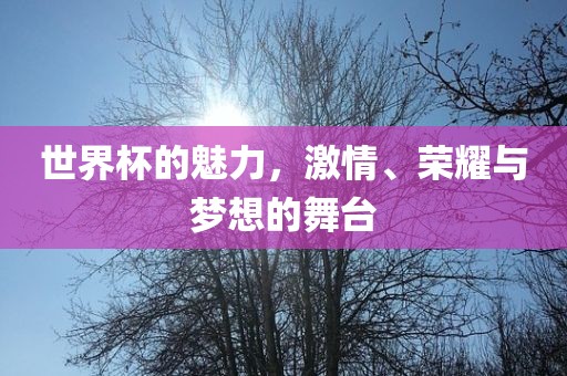 世界杯的魅力，激情、荣耀与梦想的舞台