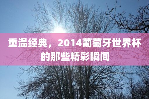 重温经典，2014葡萄牙世界杯的那些精彩瞬间