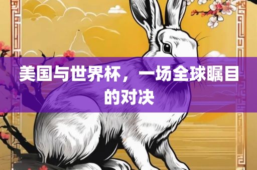 美国与世界杯，一场全球瞩目的对决