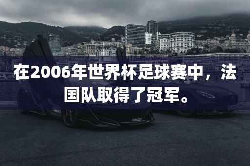 在2006年世界杯足球赛中，法国队取得了冠军。