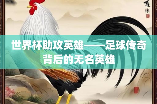 世界杯助攻英雄——足球传奇背后的无名英雄