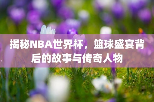 揭秘NBA世界杯，篮球盛宴背后的故事与传奇人物