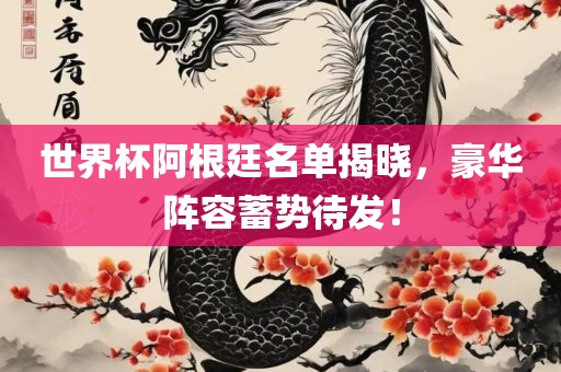 世界杯阿根廷名单揭晓，豪华阵容蓄势待发！