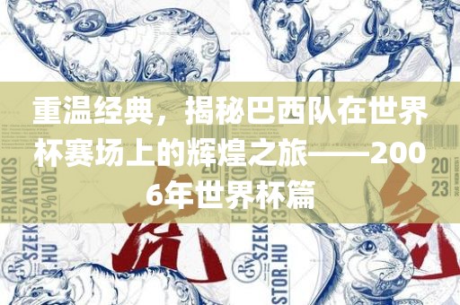 重温经典，揭秘巴西队在世界杯赛场上的辉煌之旅——2006年世界杯篇