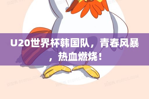 U20世界杯韩国队，青春风暴，热血燃烧！