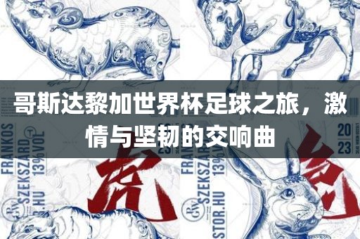 哥斯达黎加世界杯足球之旅，激情与坚韧的交响曲