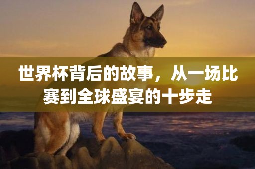世界杯背后的故事，从一场比赛到全球盛宴的十步走