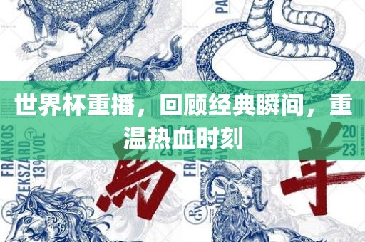 世界杯重播，回顾经典瞬间，重温热血时刻
