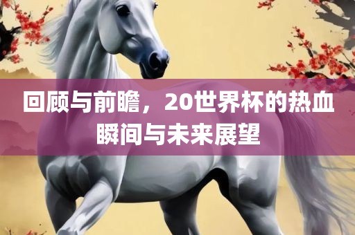未来展望 第4页