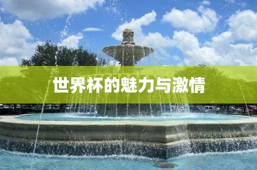 世界杯的魅力与激情