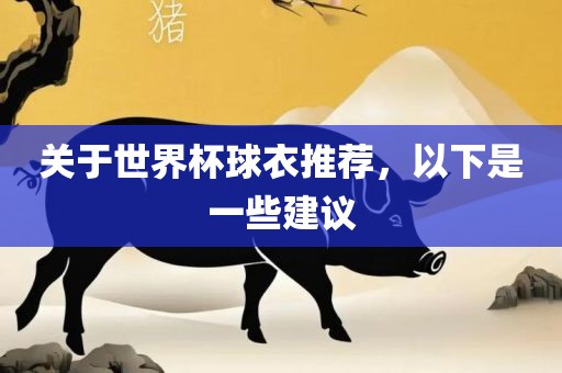 关于世界杯球衣推荐，以下是一些建议