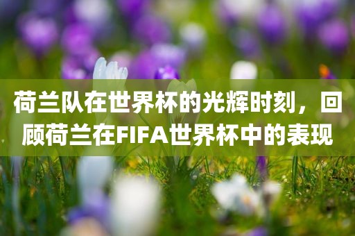荷兰队在世界杯的光辉时刻，回顾荷兰在FIFA世界杯中的表现