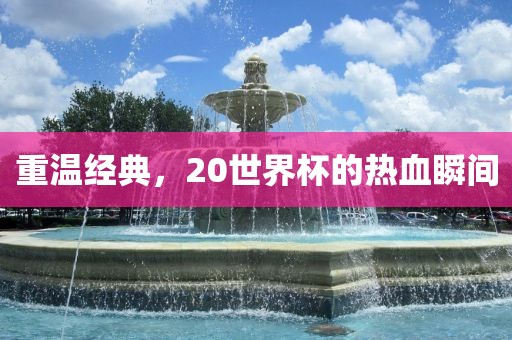 重温经典，20世界杯的热血瞬间丹东日丰电子有限公司