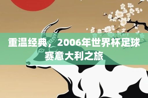 重温经典，2006年世界杯足球赛意大利之旅