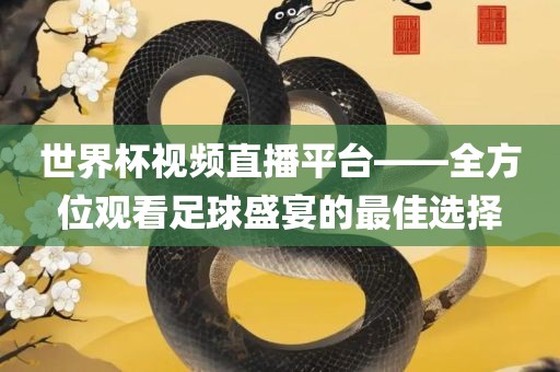 世界杯视频直播平台——全方位观看足球盛宴的最佳选择