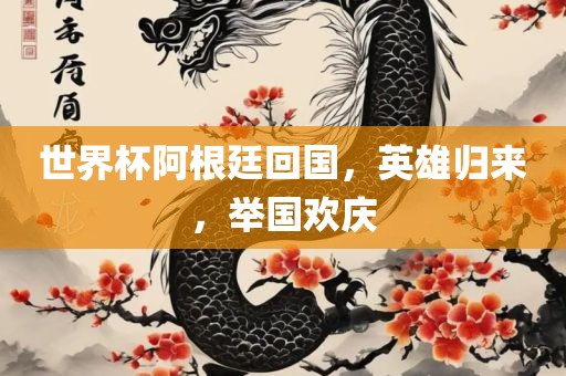 世界杯阿根廷回国，英雄归来，举国欢庆
