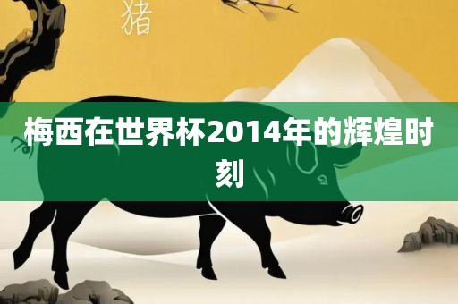 梅西在世界杯2014年的辉煌时刻