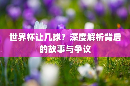 世界杯让几球？深度解析背后的故事与争议