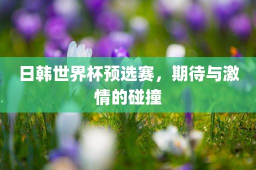 日韩世界杯预选赛，期待与激情的碰撞