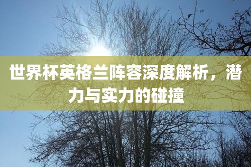 世界杯英格兰阵容深度解析，潜力与实力的碰撞