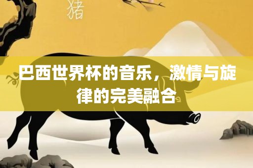 巴西世界杯的音乐，激情与旋律的完美融合