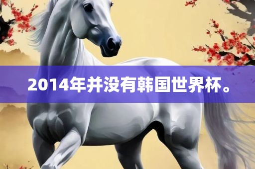 2014年并没有韩国世界杯。
