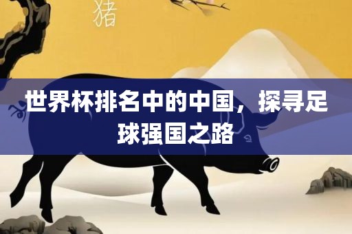 世界杯排名中的中国，探寻足球强国之路