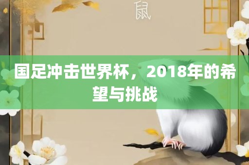 国足冲击世界杯，2018年的希望与挑战