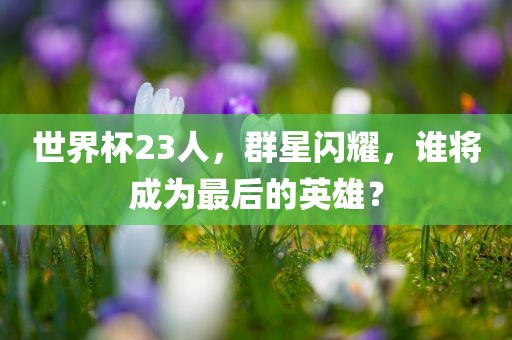 世界杯23人，群星闪耀，谁将成为最后的英雄？