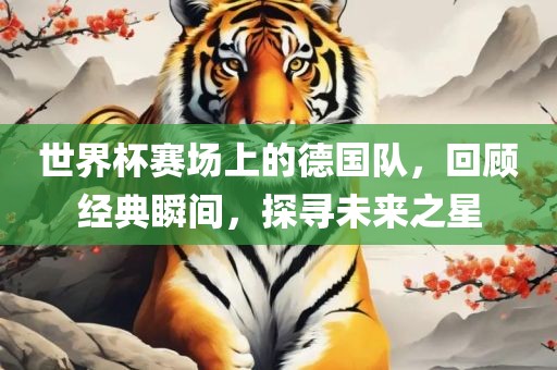 世界杯赛场上的德国队，回顾经典瞬间，探寻未来之星