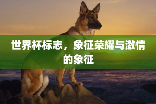 世界杯标志，象征荣耀与激情的象征