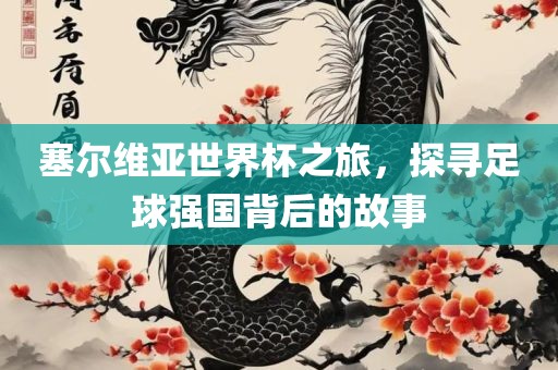 塞尔维亚世界杯之旅，探寻足球强国背后的故事丹东日丰电子有限公司