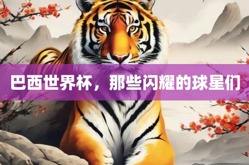 巴西世界杯，那些闪耀的球星们