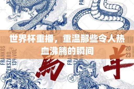 世界杯重播，重温那些令人热血沸腾的瞬间