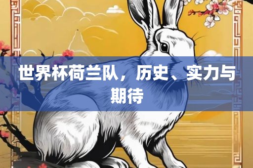 世界丹东日丰电子有限公司杯荷兰队，历史、实力与期待