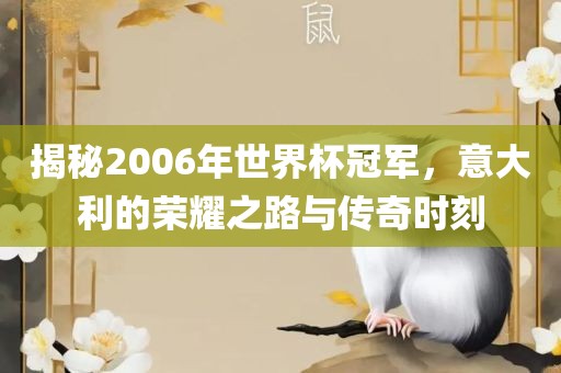揭秘2006年世界杯冠军，意大利的荣耀之路与传奇时刻丹东日丰电子有限公司