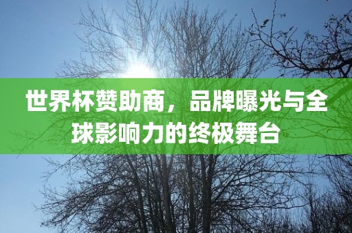 世界杯赞助商，品牌曝光与全球影响力的终极舞台