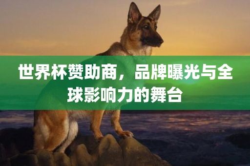 世界杯赞助商，品牌曝光与全球影响力的舞台