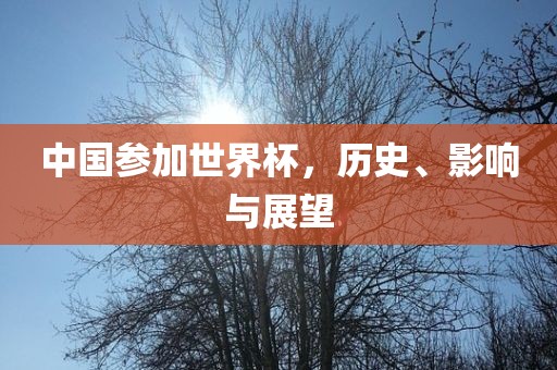 中国参加世界杯，历史、影响与展望