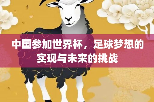 中国参加世界杯，足球梦想的实现与未来的挑战丹东日丰电子有限公司