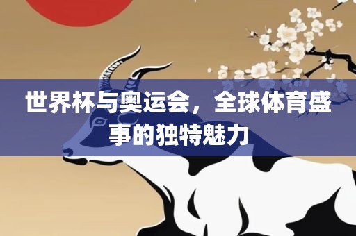 世界杯与奥运会，全球体育盛事的独特魅力