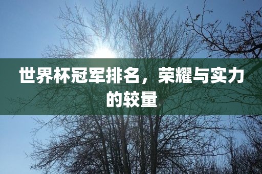 世界杯冠军排名，荣耀与实力的较量丹东日丰电子有限公司