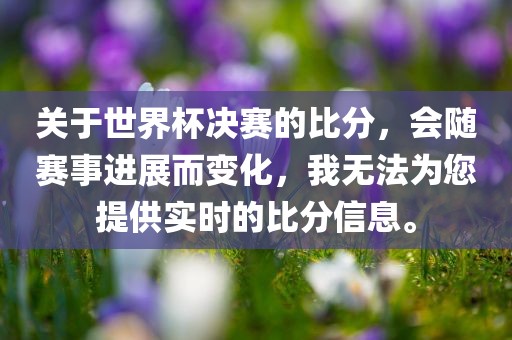 关于世界杯决赛的比分，会随赛事进展而变化，我无法为您提供实时的比分信息。丹东日丰电子有限公司
