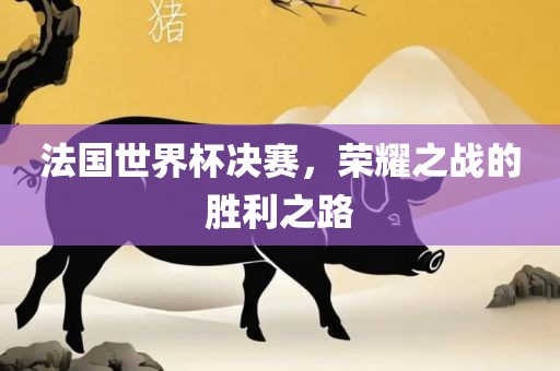 法国世界杯决赛，荣耀之战的胜利之路丹东日丰电子有限公司