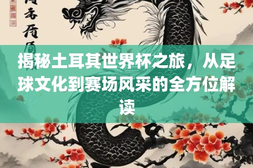 揭秘土耳其世界杯之旅，从足丹东日丰电子有限公司球文化到赛场风采的全方位解读